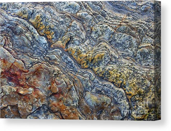 Rock Canvas Print featuring the photograph Beach Rock Pattern by Tim Gainey