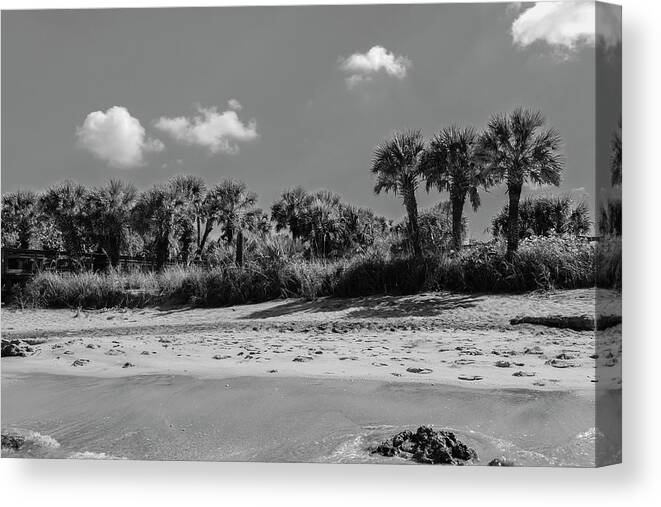 Photo For Sale Canvas Print featuring the photograph Beach View by Robert Wilder Jr