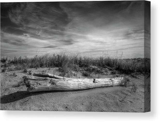 Beach Canvas Print featuring the photograph Beached log at Shinnecock by Steve Gravano