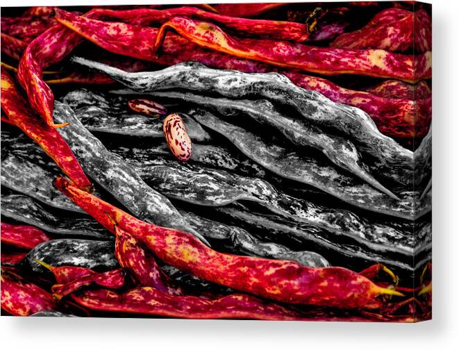 Beans Canvas Print featuring the photograph Beans by Wolfgang Stocker
