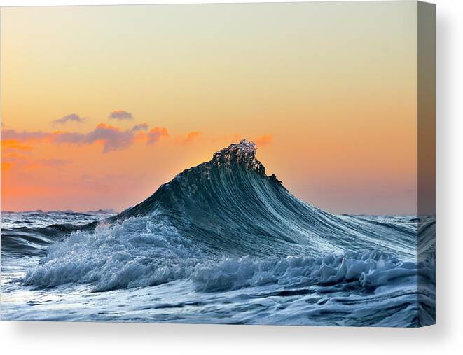 Sea Canvas Print featuring the photograph Bear Claw by Sean Davey