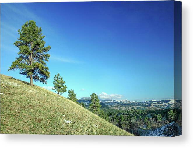 Hill Canvas Print featuring the photograph Bear Paw Vista by Todd Klassy