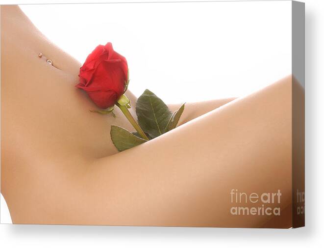 Woman Canvas Print featuring the photograph Beautiful Female Body by Maxim Images Exquisite Prints