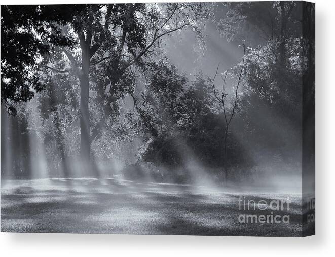 Beautiful Morning Light Canvas Print featuring the photograph Beautiful Morning Light by Rachel Cohen