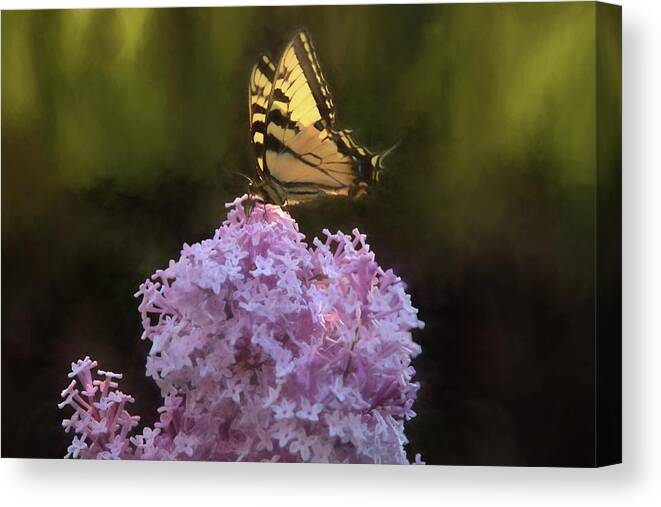 Salem Canvas Print featuring the photograph Beautiful Spring Arrives by Jeff Folger