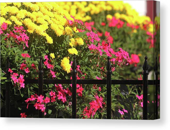 Floral Canvas Print featuring the photograph Beauty Beyond the Gate by Trina Ansel