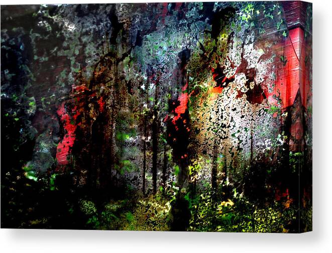 Abstract Canvas Print featuring the photograph Beauty in Decay by Randi Grace Nilsberg
