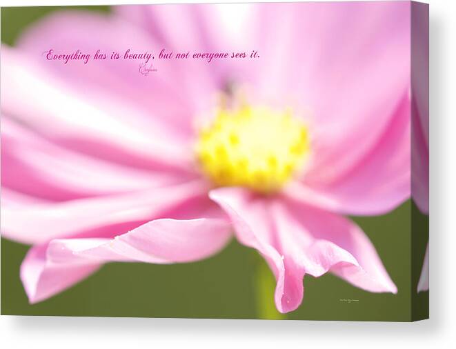 Cosmos Canvas Print featuring the photograph Beauty by Carol Senske