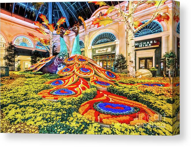 Bellagio Conservatory Canvas Print featuring the photograph Bellagio Conservatory Fall Peacock Display Side View Wide 2017 by Aloha Art