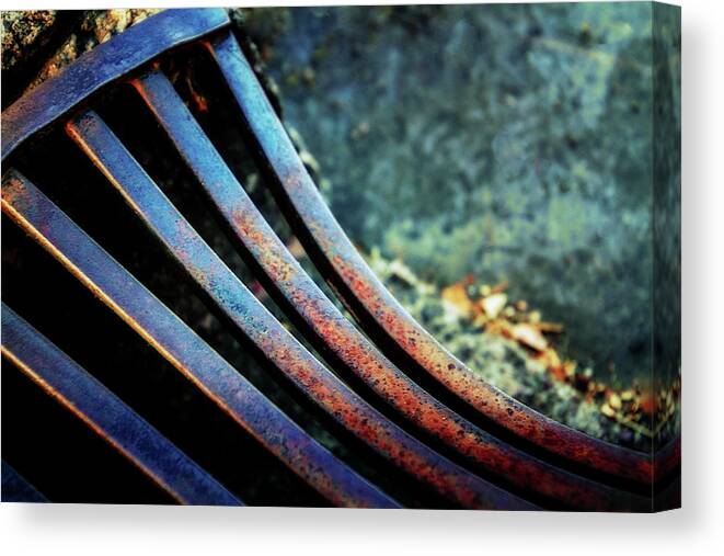 Drain Canvas Print featuring the mixed media Bend in the Grate by Terry Davis