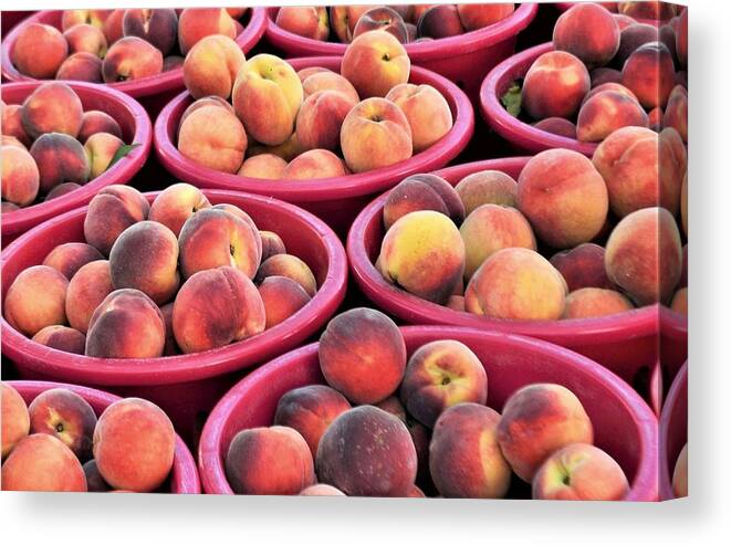  Canvas Print featuring the photograph Bennetts Orchards Peaches by Kim Bemis