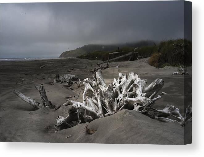 Cape Disappointment Canvas Print featuring the photograph Benson Beach by Robert Potts