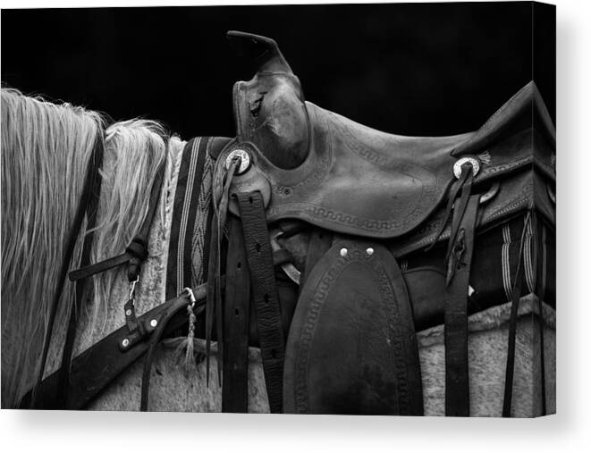 Saddle Canvas Print featuring the photograph Best Seat In The House by Ryan Courson