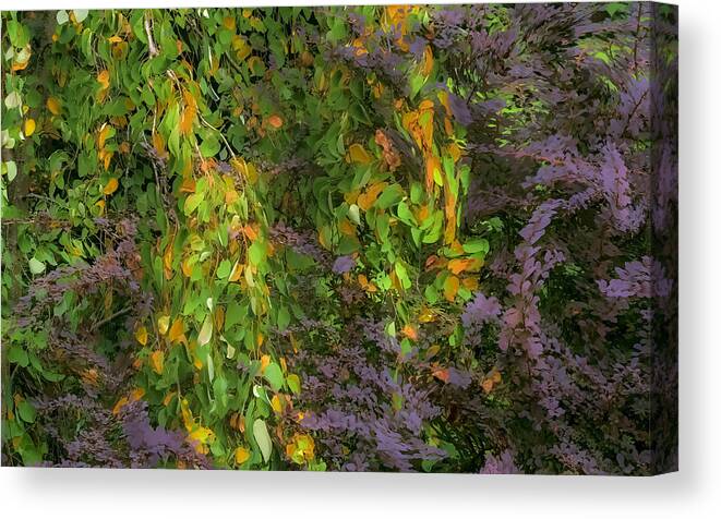 Trees Canvas Print featuring the photograph Beth's Swirling Katsura Tree by Saxon Holt