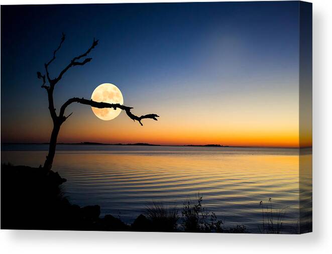 Moon Canvas Print featuring the photograph Beverly's Moon by Paula OMalley