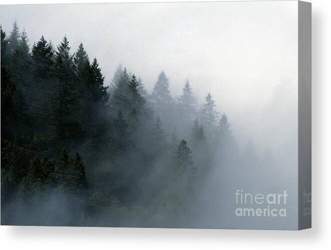 Craig Lovell Canvas Print featuring the photograph Big-sur-7-15 by Craig Lovell