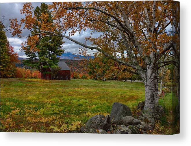 Chocorua Fall Colors Canvas Print featuring the photograph Birch over the mountains by Jeff Folger