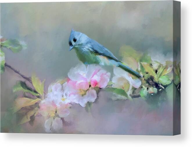Bird Canvas Print featuring the photograph Bird and Blossoms by Cathy Kovarik