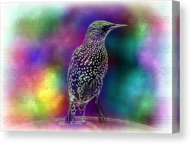 Bird Canvas Print featuring the digital art Bird and Music by Lilia S