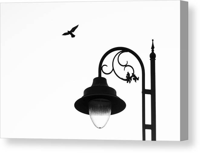 Flying Dove Canvas Print featuring the photograph Bird and Street Lamp in Black and White by Prakash Ghai