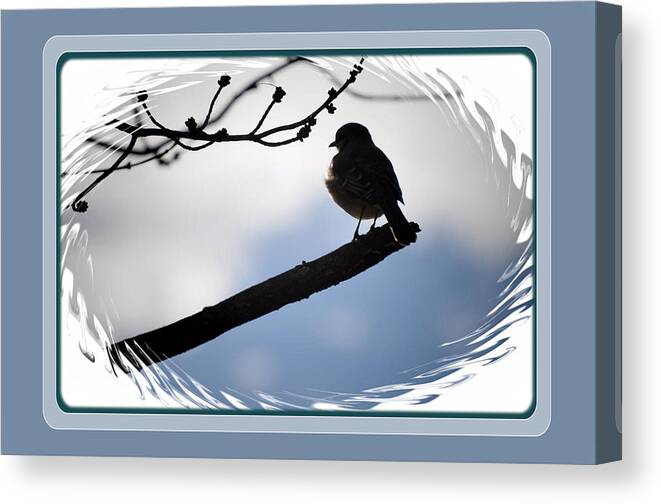 Birds Bird Canvas Print featuring the photograph Bird on a branch by Russ Mullen