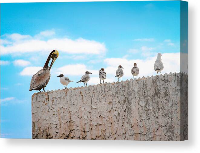 Bonnie Follett Canvas Print featuring the photograph Birds Catching Up on News by Bonnie Follett