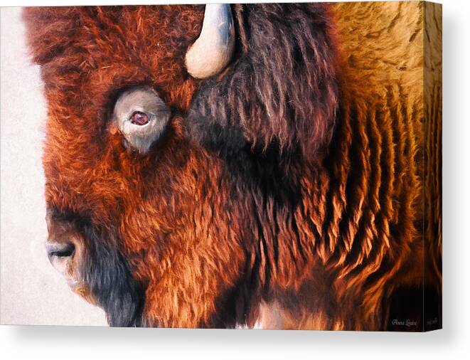 Bison Canvas Print featuring the photograph Bison by Anna Louise