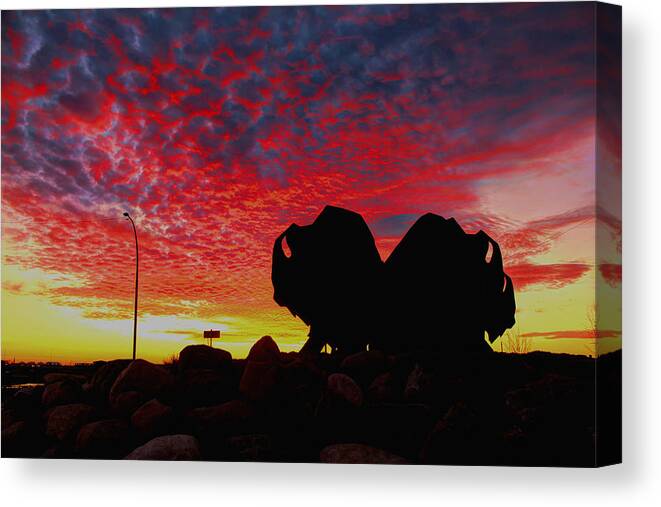 Sunset Canvas Print featuring the photograph Bison Sunset by Larry Trupp