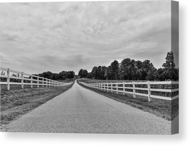 Black And White Canvas Print featuring the photograph Black and White 134 by Jimmy McDonald