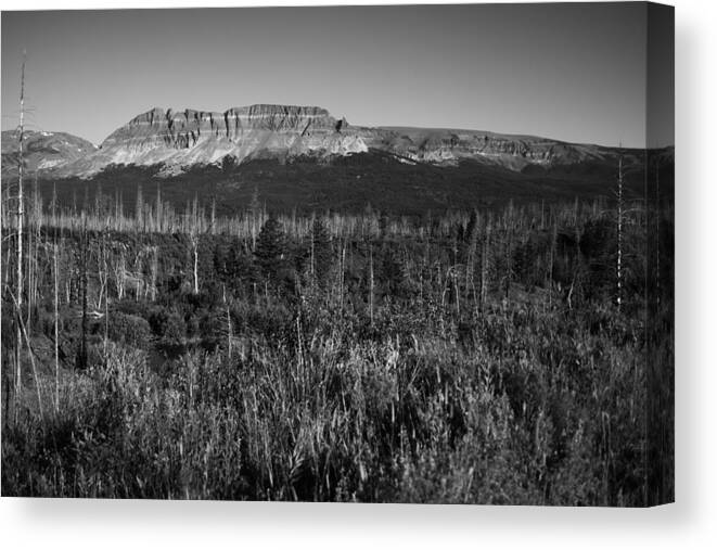 Black And White Canvas Print featuring the photograph Black and white Glacial sculpted by Jeff Swan