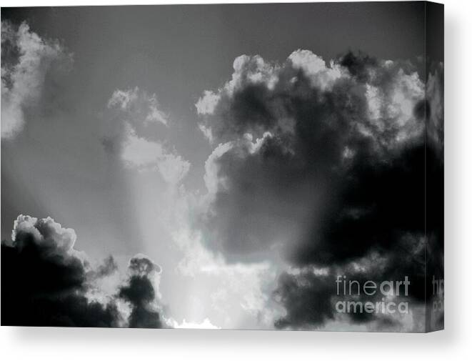 America Canvas Print featuring the photograph Black and White Heavenly Light by Robyn King
