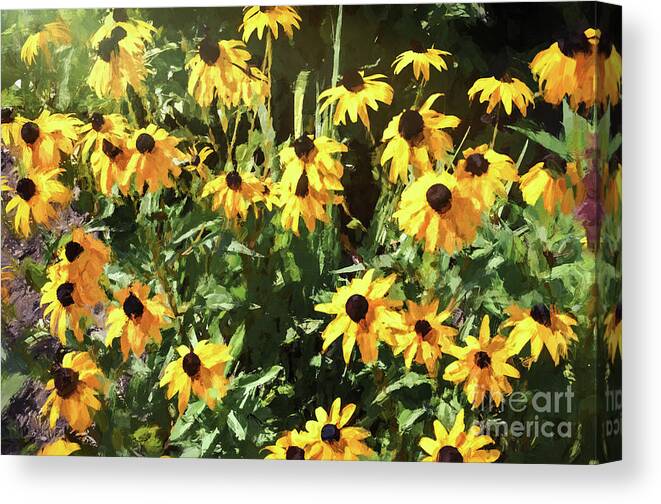 Painting Canvas Print featuring the photograph Black-eyed Susan Yellow Flowers by Andrea Anderegg