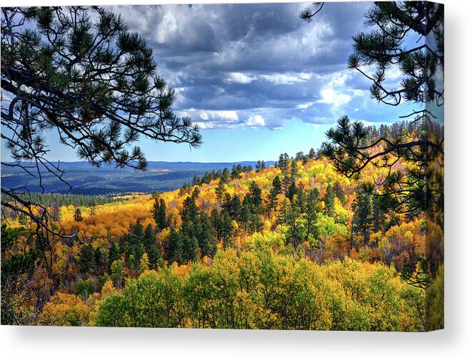 Autumn Canvas Print featuring the photograph Black Hills Autumn by Fiskr Larsen