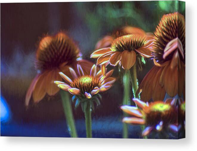 Flowers Canvas Print featuring the photograph Blooming Colors by John Rivera