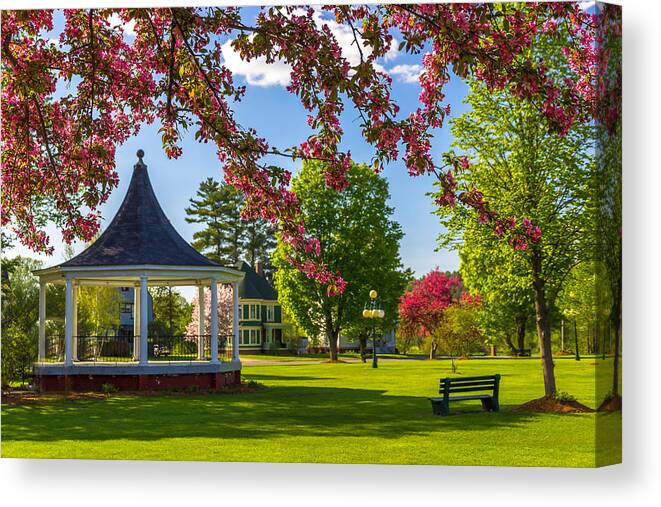 Park Canvas Print featuring the photograph Blossoms and Benches by Tim Kirchoff