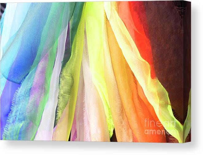 Wendy Wilton Canvas Print featuring the photograph Blowin' In The Wind 2 by Wendy Wilton