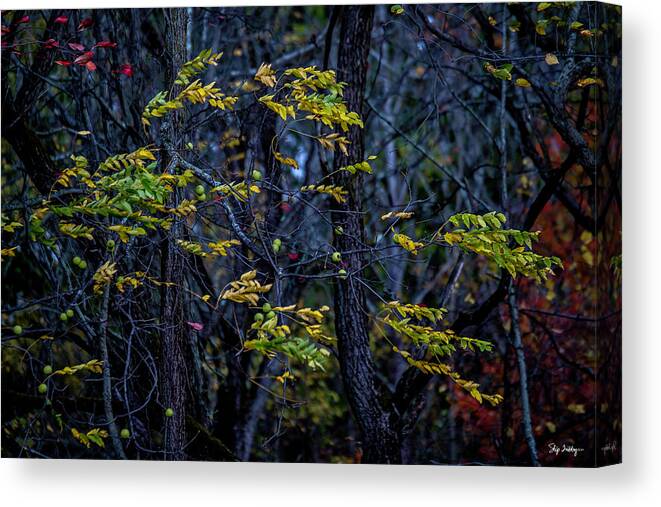 Leaves Canvas Print featuring the photograph Blowin' in the Wind by Skip Tribby