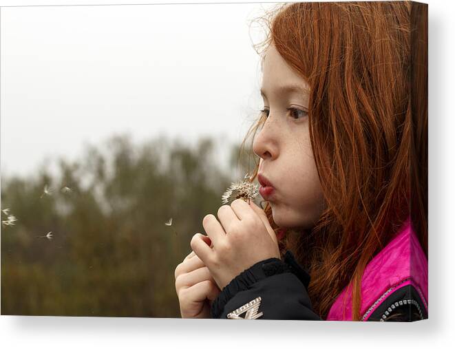 Girl Canvas Print featuring the photograph Blowing Dandelions by Travis Rogers