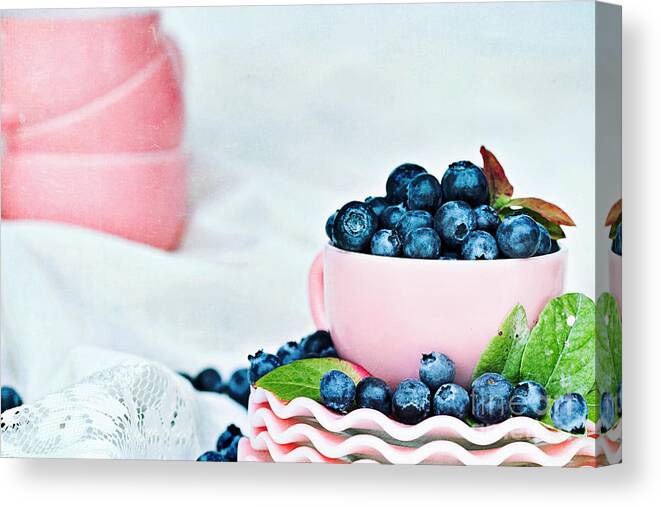 Abundant Canvas Print featuring the photograph Blue and Pink by Stephanie Frey