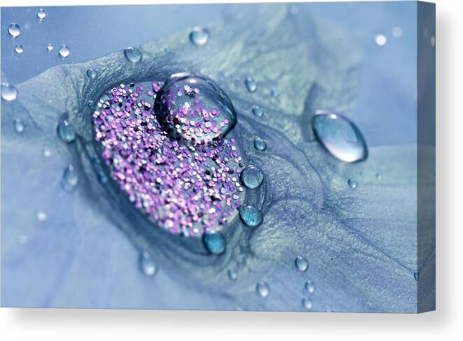 Blue And Purple Abstract Canvas Print featuring the photograph Blue and Purple Abstract by Tracy Winter