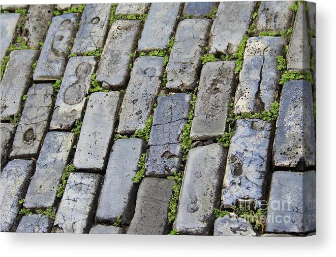 Blue Canvas Print featuring the photograph Blue Bricks by Suzanne Oesterling