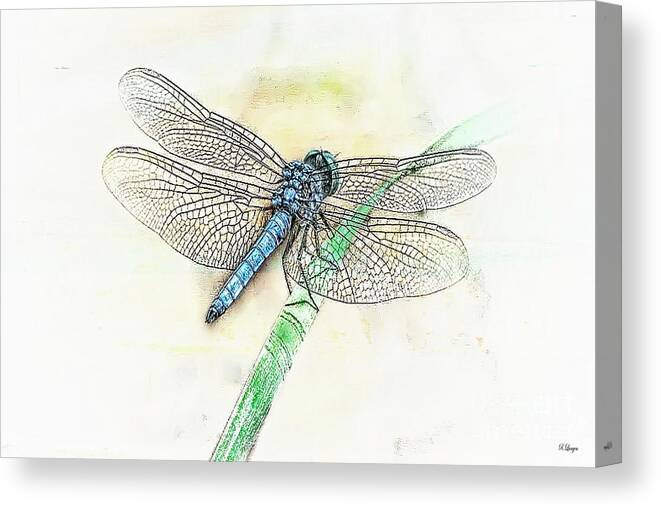  Dragonflies Canvas Print featuring the digital art Blue Dragonfly by Rebecca Langen