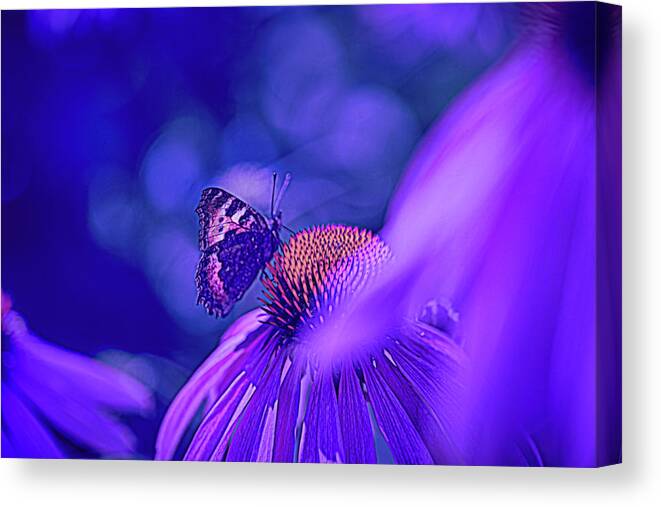 Blue Canvas Print featuring the photograph Blue #f7 by Leif Sohlman