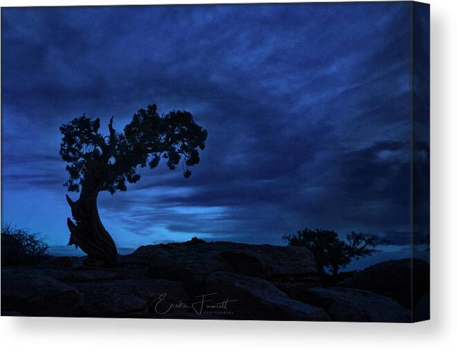 Blue Hour Canvas Print featuring the photograph Blue Hour Silhouette by Erika Fawcett