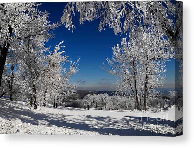 Mountains Canvas Print featuring the photograph Blue Knob by Lois Bryan