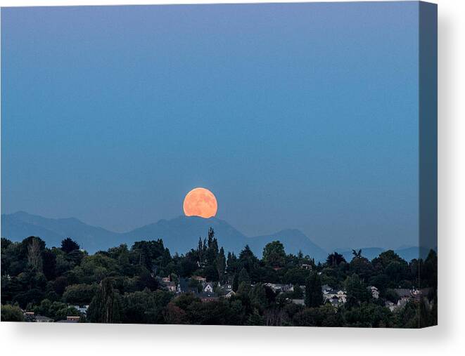 Moon Rise Canvas Print featuring the photograph Blue Moon.2 by E Faithe Lester