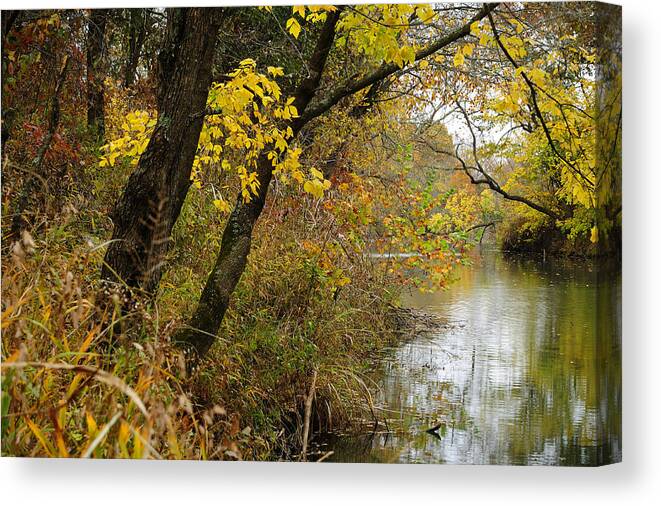 Trees Canvas Print featuring the photograph Blue river in Autumn by Iris Greenwell