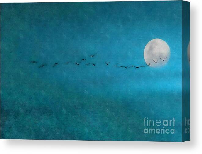 Blue Sky Canvas Print featuring the photograph Blue Skies by Andrea Kollo