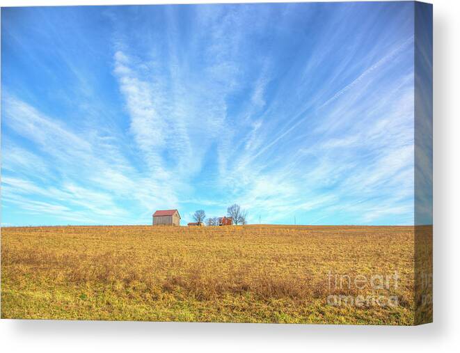 Blue Skys And Yellow Fields Canvas Print featuring the photograph Blue Skys and Yellow Fields by Randy Steele