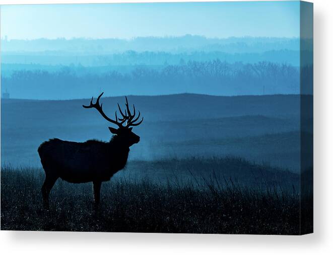 Jay Stockhaus Canvas Print featuring the photograph Blue Sunrise by Jay Stockhaus